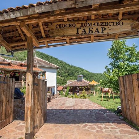 Seosko Domacinstvo „Gabar” Villa Custica Dış mekan fotoğraf