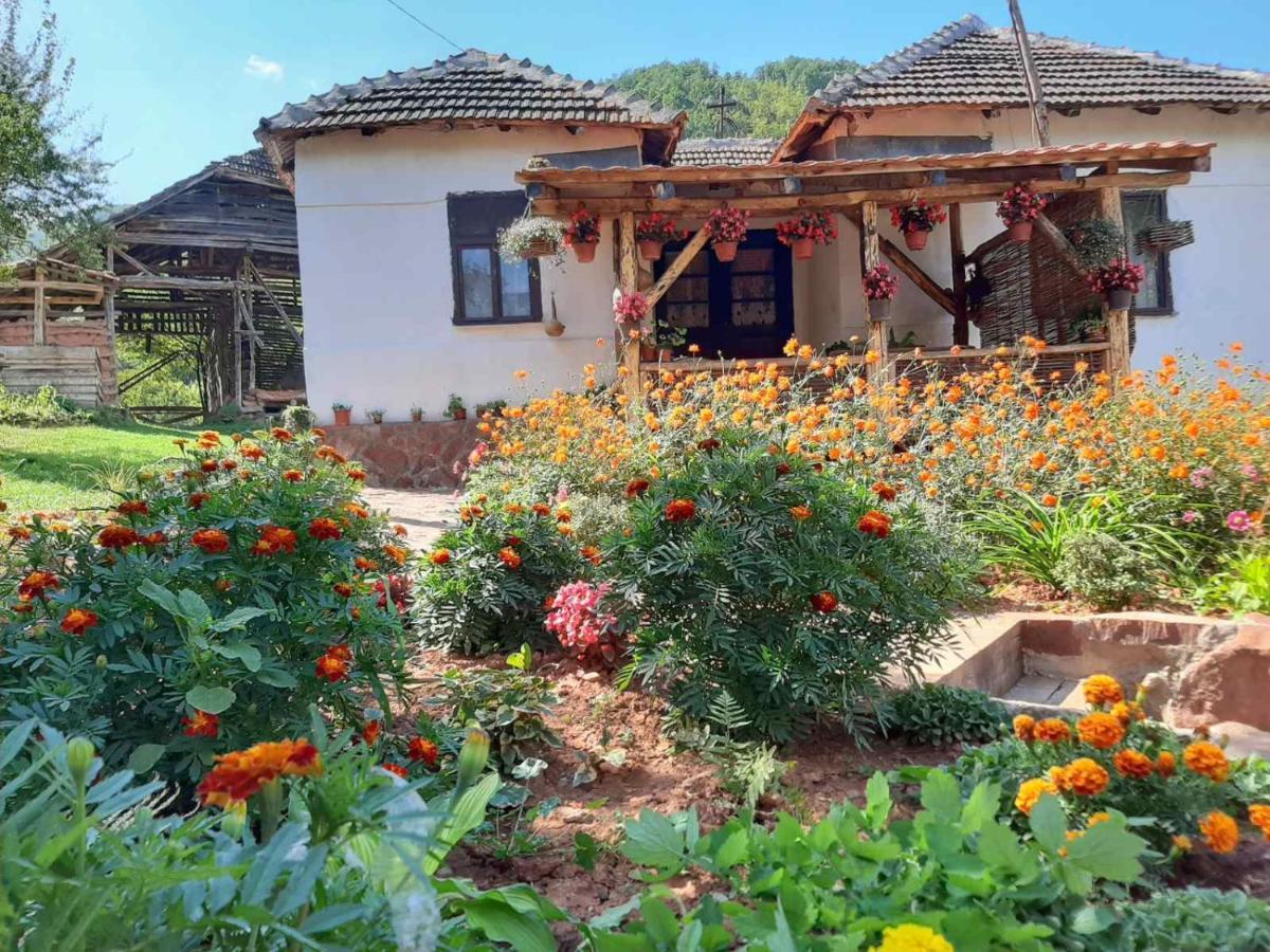 Seosko Domacinstvo „Gabar” Villa Custica Dış mekan fotoğraf