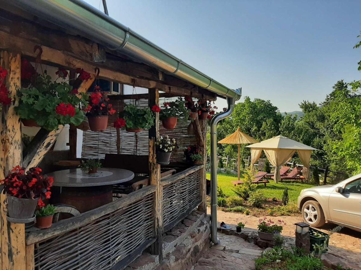 Seosko Domacinstvo „Gabar” Villa Custica Dış mekan fotoğraf