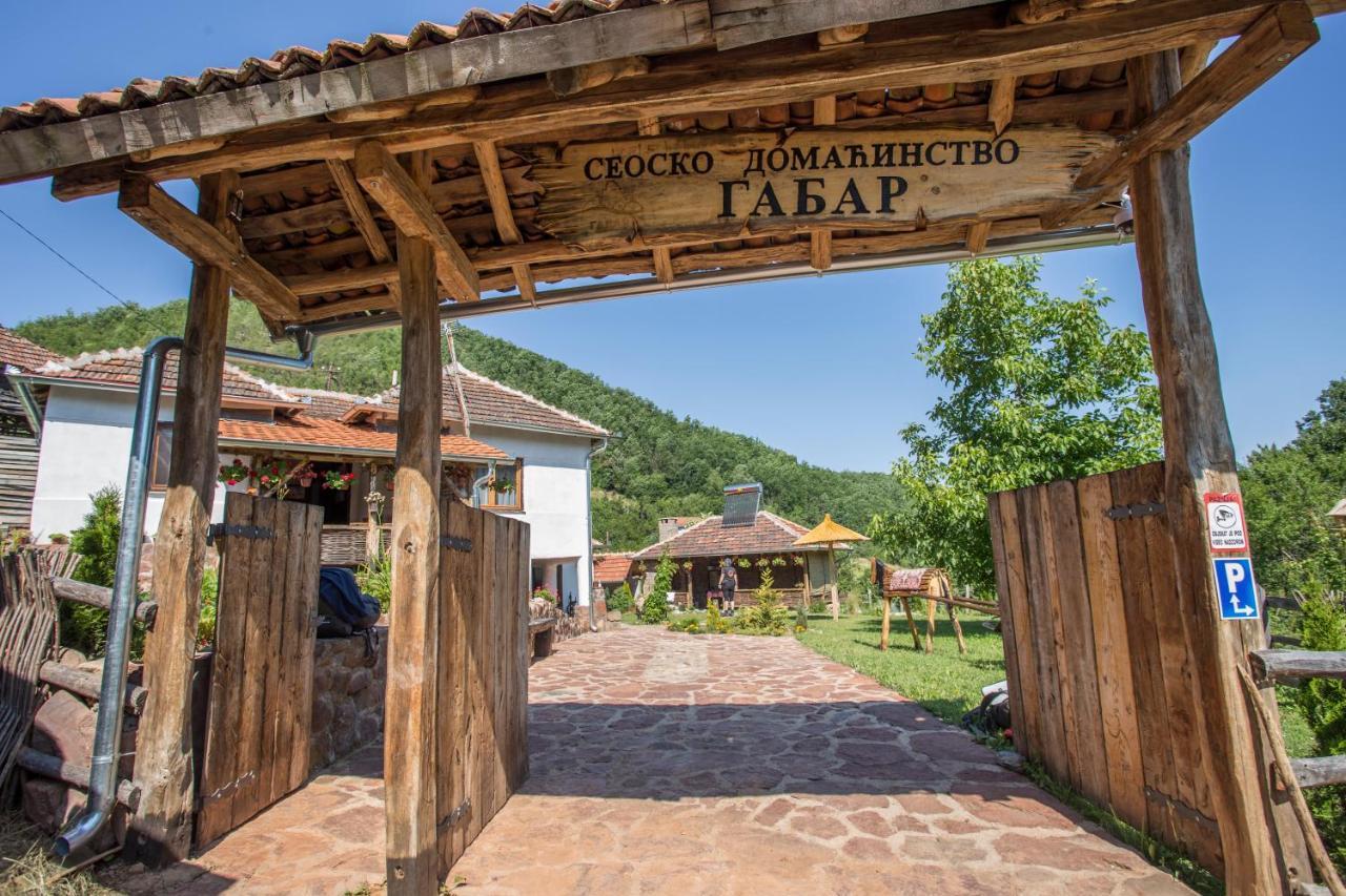 Seosko Domacinstvo „Gabar” Villa Custica Dış mekan fotoğraf