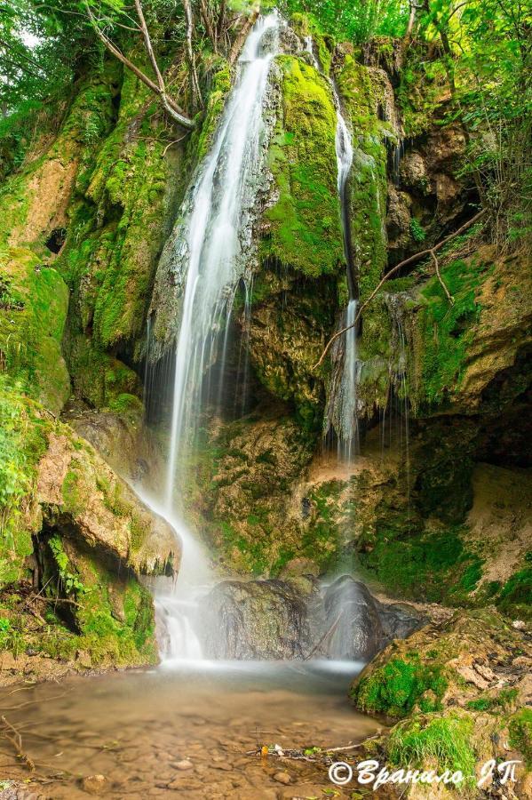 Seosko Domacinstvo „Gabar” Villa Custica Dış mekan fotoğraf